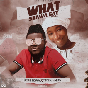 Pope Skinny_What Shawa Say-Remix_Mp3 Downlod
