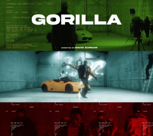 Joey B - Gorilla ft Yaw Tog (Official Music Video)