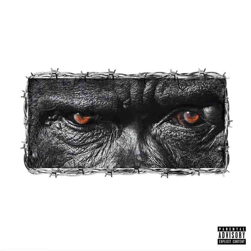 Joey B - Gorilla ft Yaw Tog (Prod.By Dj Krept) Mp3 Download