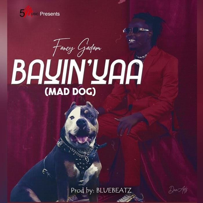 Fancy Gadam - Bayinyaa Mad Dog - Mp3 Download_ghnation.net