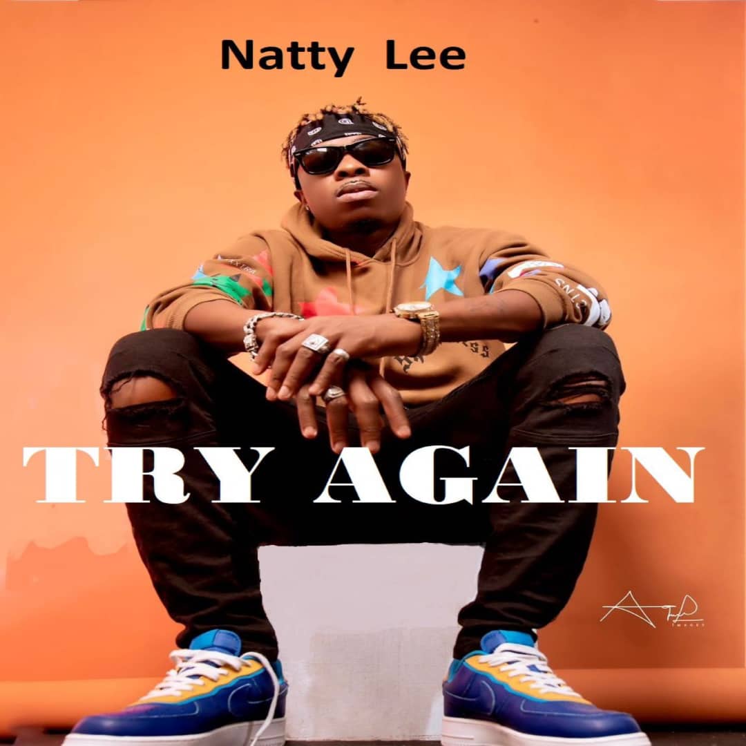 Natty Lee - Try Again - Mp3 Download_ghnation.net
