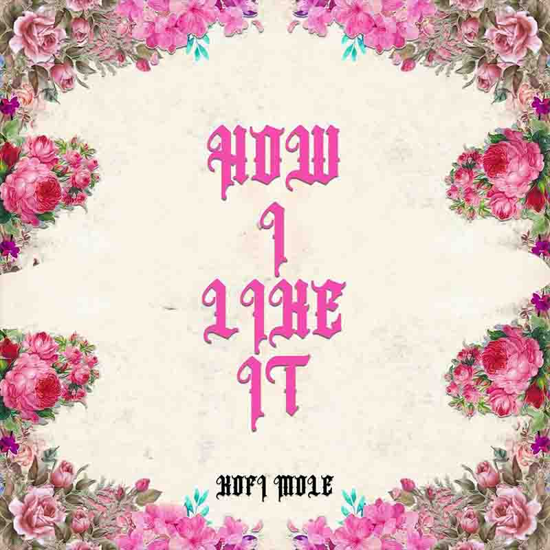 Kofi Mole - How I Like It Mp3 Download