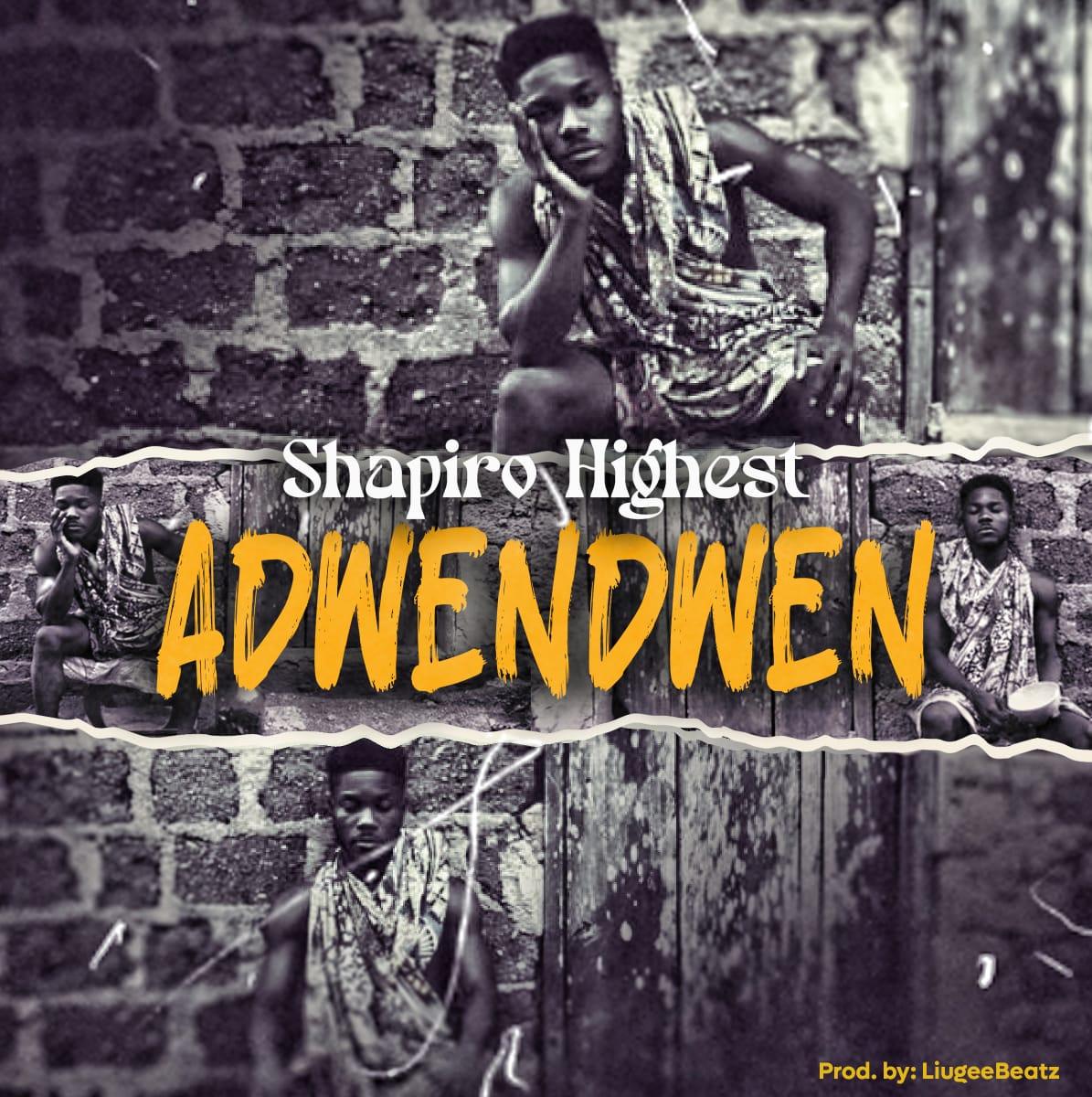 Shapiro - Adwendwen (Prod by LiugeeBeatz)_Mp3 Download_GhNation.net