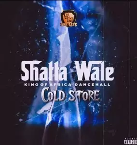 Shatta Wale - Cold Store_Mp3 Download_GhNation.net