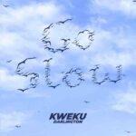 Kweku Darlington - Go Slow - Mp3 Download