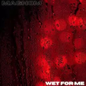 Magnom - Wet for Me - Mp3 Download